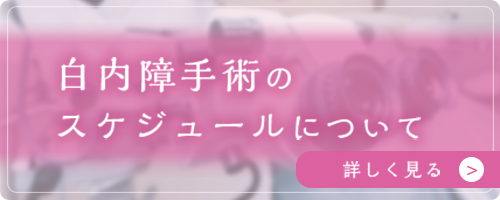 白内障手術のスケジュール